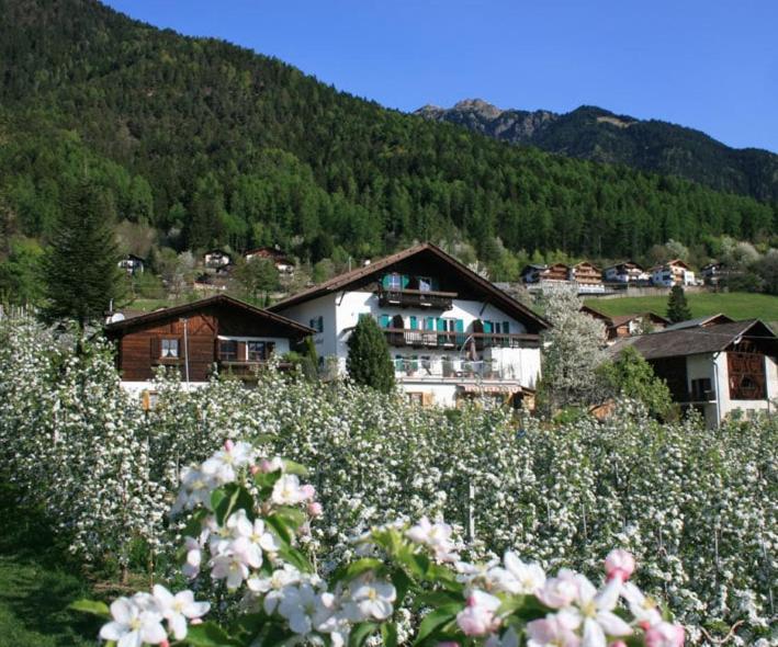 Residence Streitlhof Tirolo Exterior photo